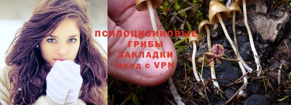 стафф Алзамай
