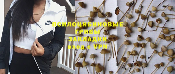 стафф Алзамай