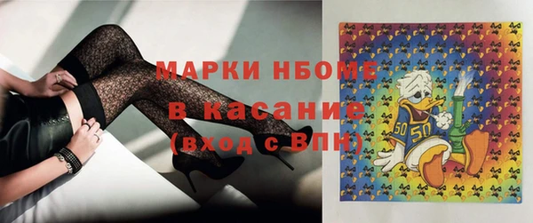 стафф Алзамай
