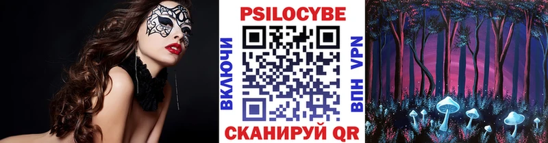 как найти закладки  Беломорск  Псилоцибиновые грибы MAGIC MUSHROOMS 