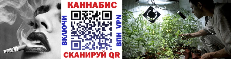 Бошки Шишки семена  Беломорск 